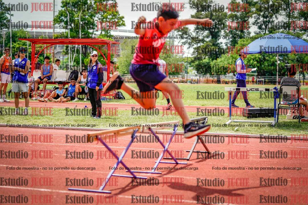 Fotos de los 60 m con vallas de varones