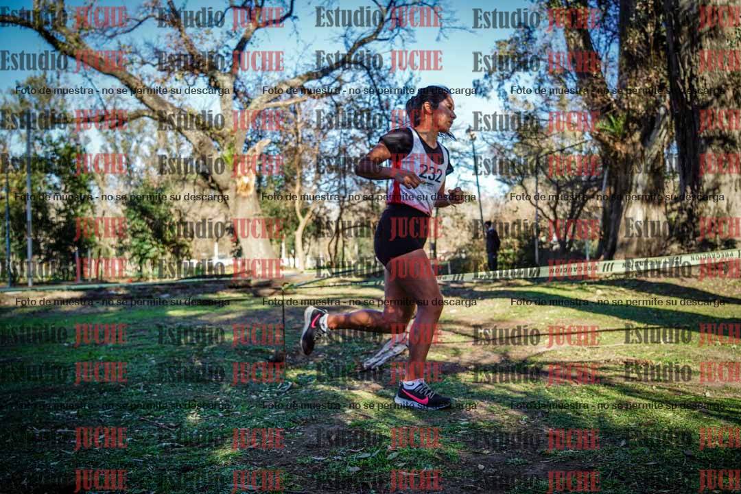 Fotos en el quinto punto del circuito