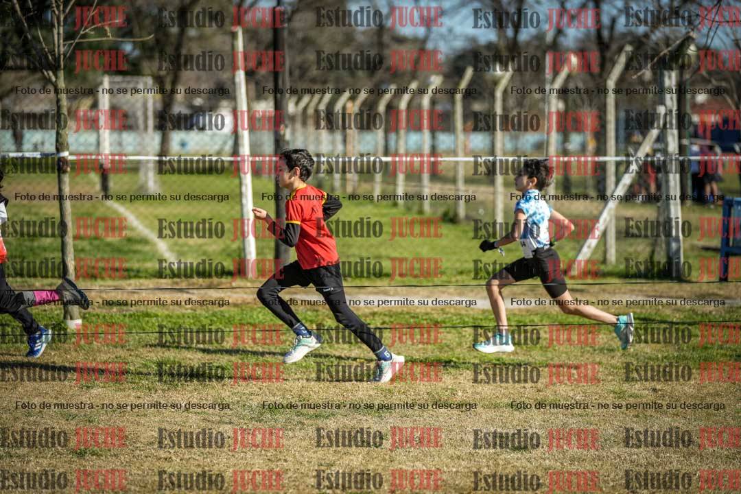 Fotos en el circuito