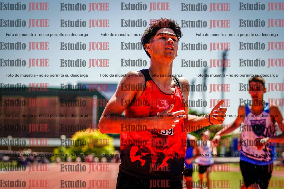 Fotos de los 800 m llanos de varones