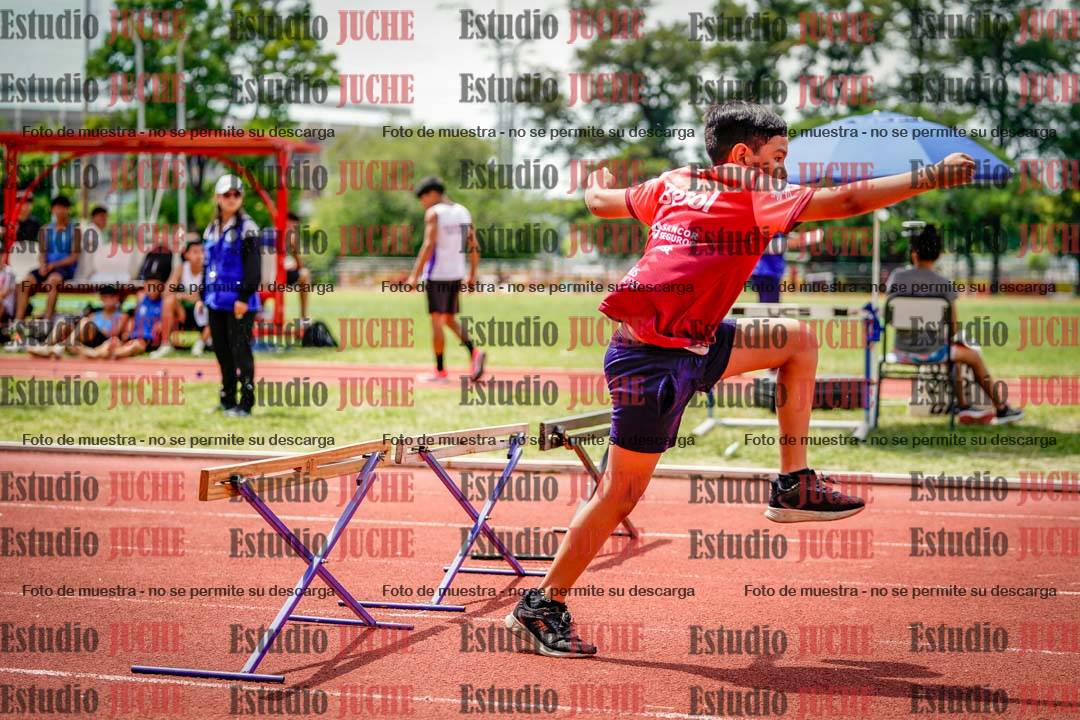 Fotos de los 60 m con vallas de varones