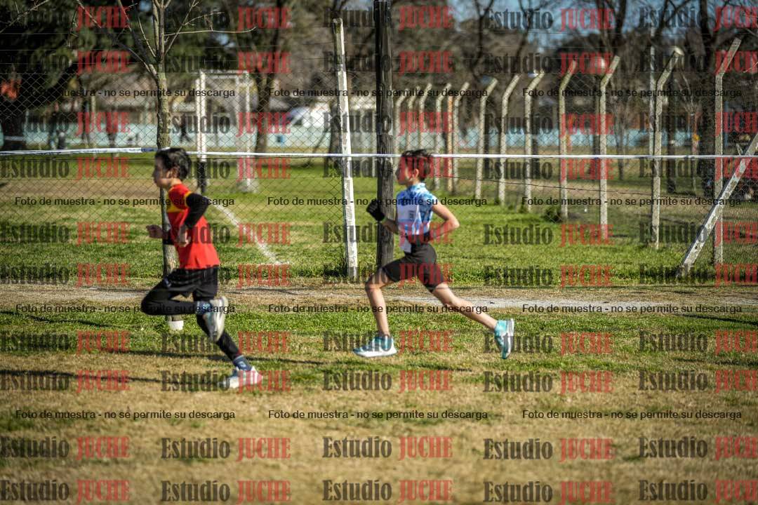 Fotos en el circuito