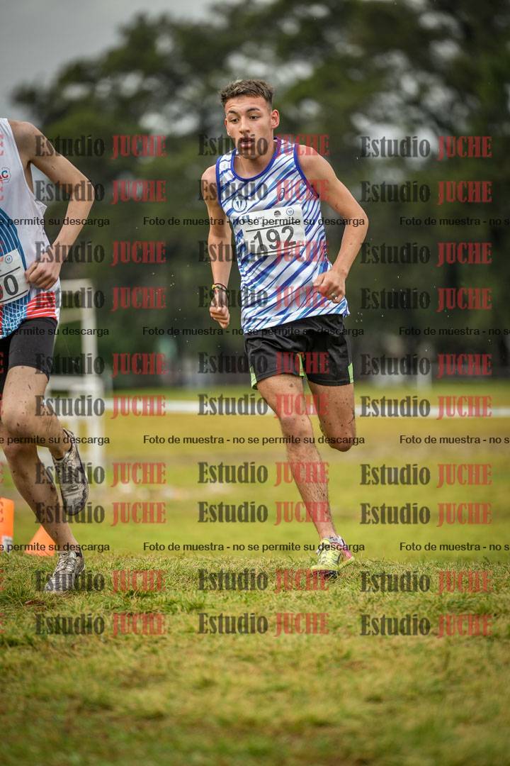 Fotos en el circuito