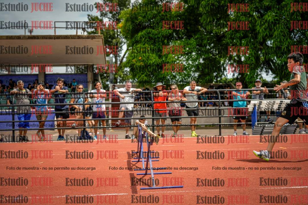 Fotos de los 60 m con vallas de varones