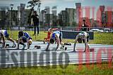 Fotos de los 100 m llanos de varones