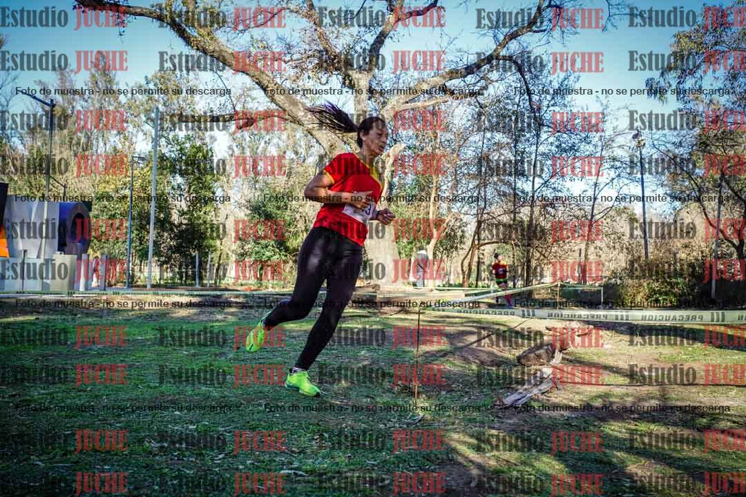 Fotos en el quinto punto del circuito