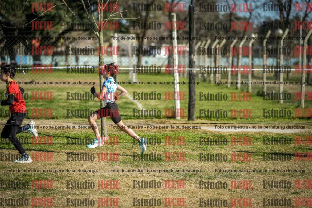 Fotos en el circuito