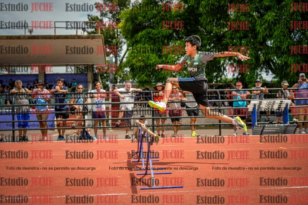 Fotos de los 60 m con vallas de varones