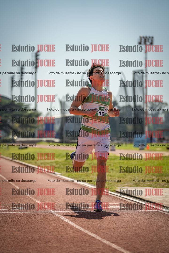 Fotos de los 800 m llanos de varones