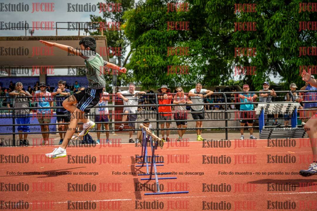 Fotos de los 60 m con vallas de varones