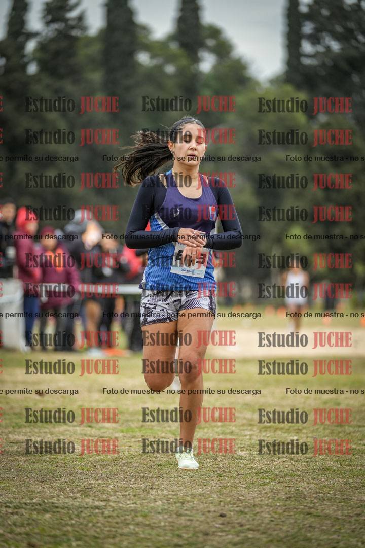 Fotos de la llegada
