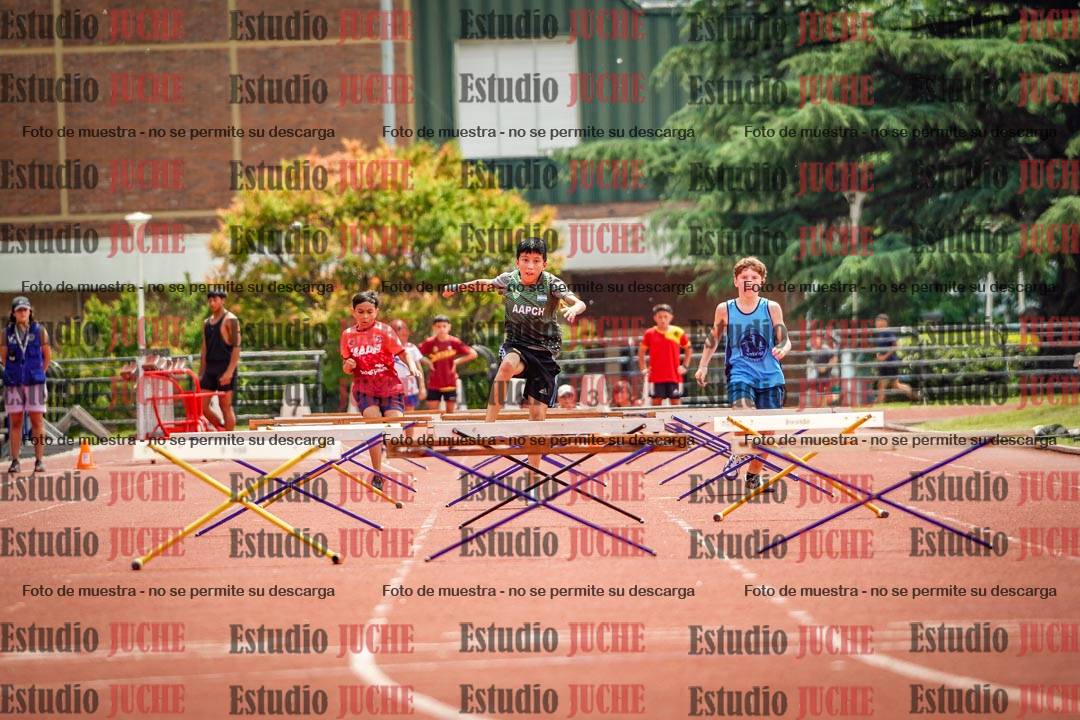 Fotos de los 60 m con vallas de varones