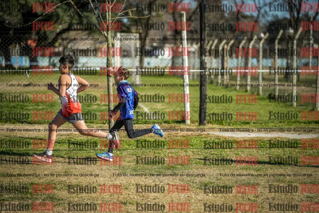 Fotos en el circuito