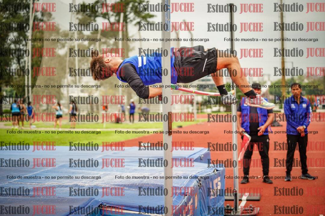 Fotos del salto en alto de varones
