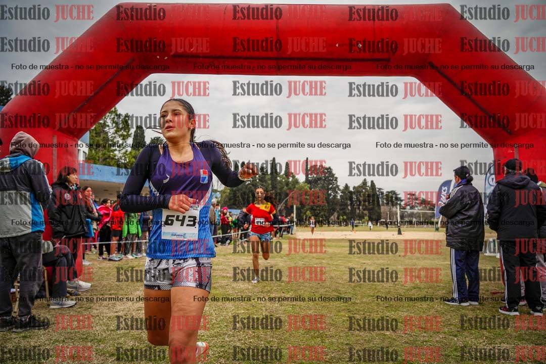 Fotos de la llegada