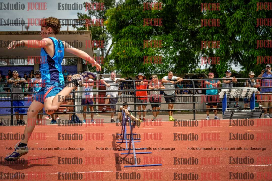 Fotos de los 60 m con vallas de varones