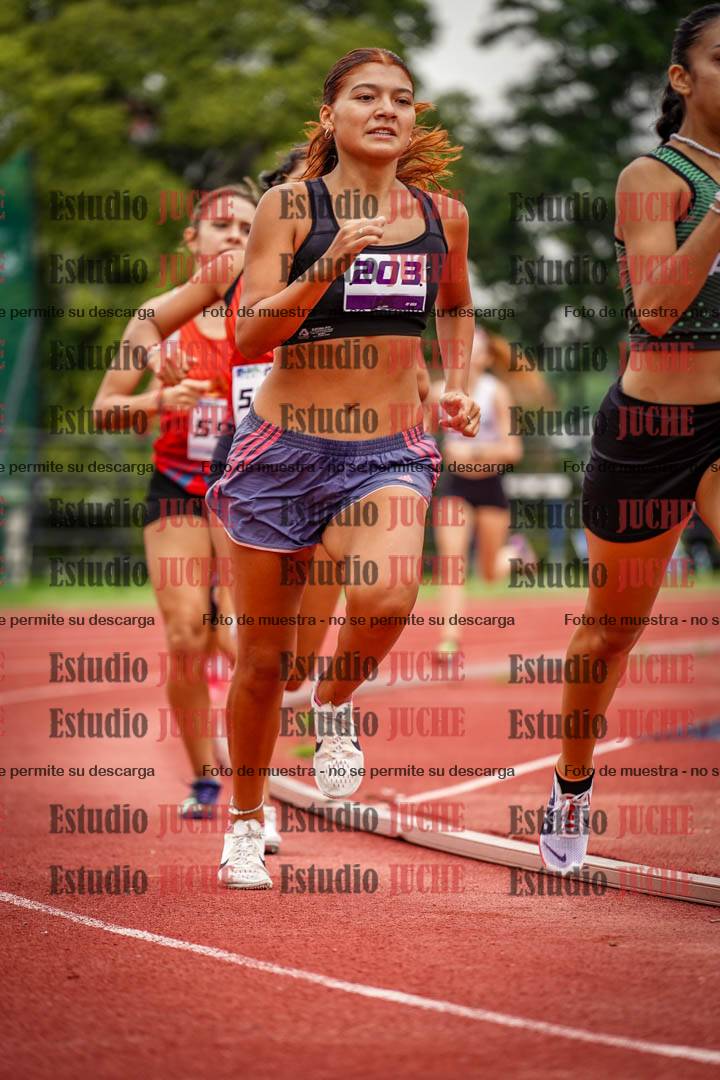 Fotos de los 800 m llanos de mujeres
