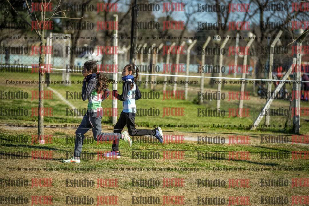 Fotos en el circuito