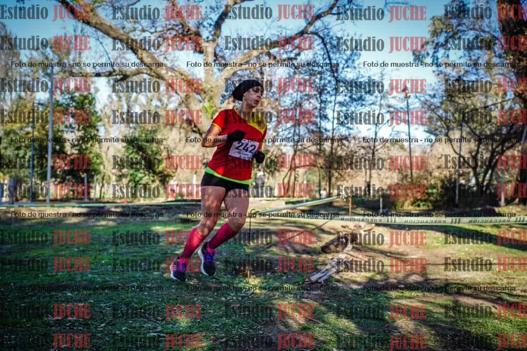 Fotos en el quinto punto del circuito