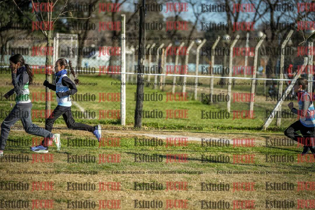 Fotos en el circuito