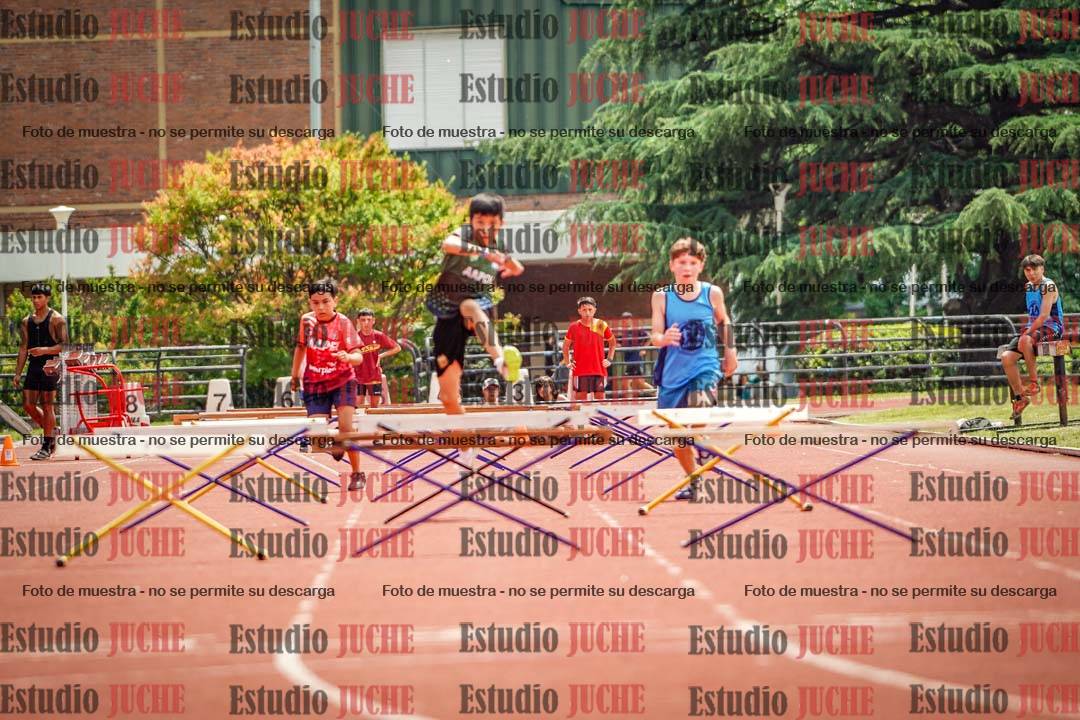 Fotos de los 60 m con vallas de varones