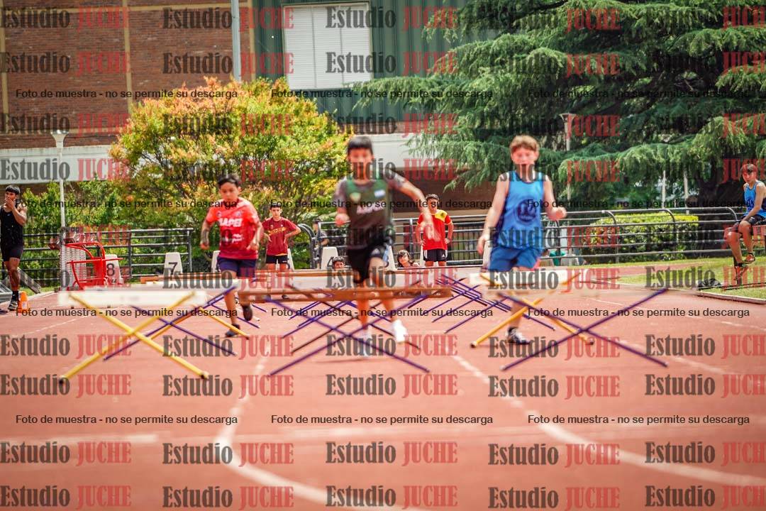Fotos de los 60 m con vallas de varones