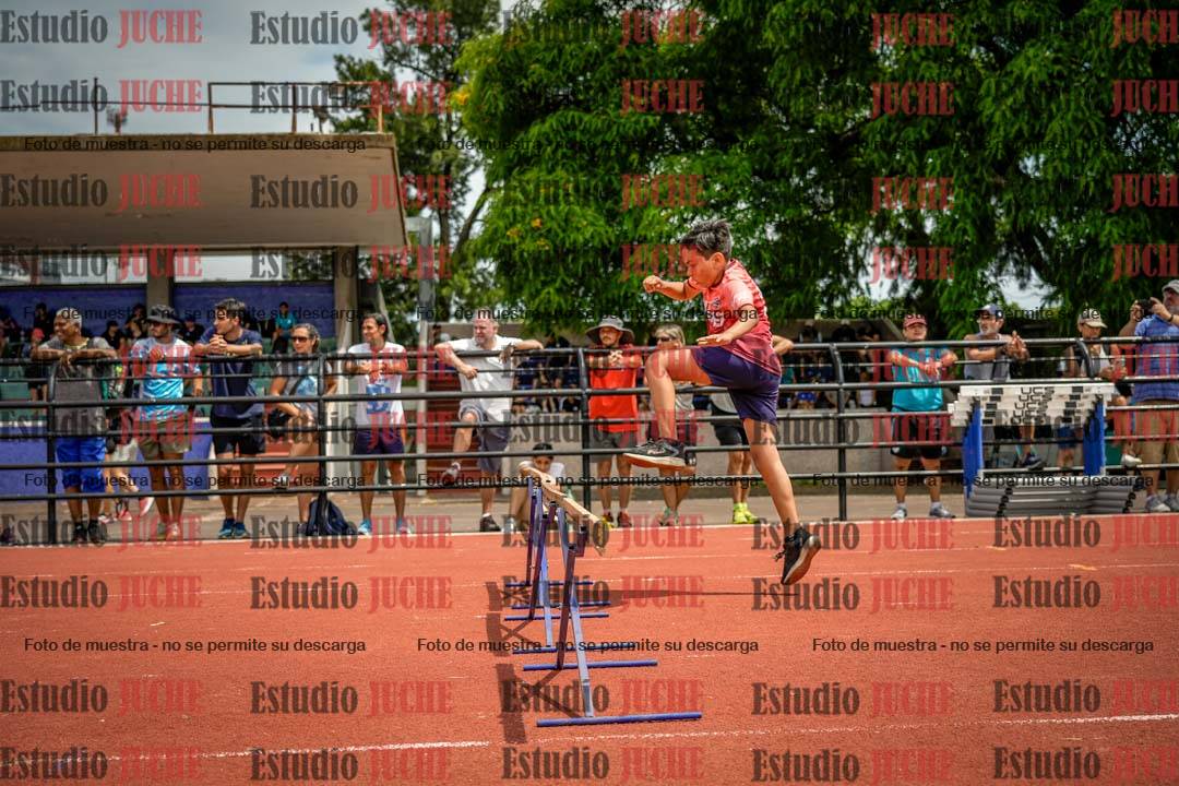 Fotos de los 60 m con vallas de varones
