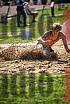 Fotos del salto en largo de varones - incluye U16