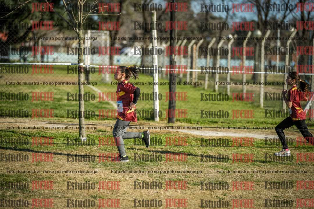 Fotos en el circuito