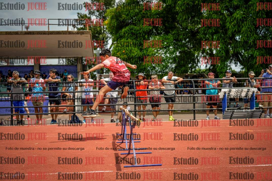 Fotos de los 60 m con vallas de varones