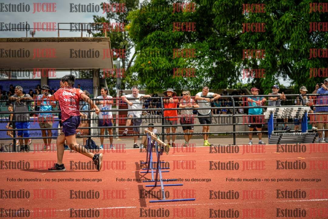 Fotos de los 60 m con vallas de varones