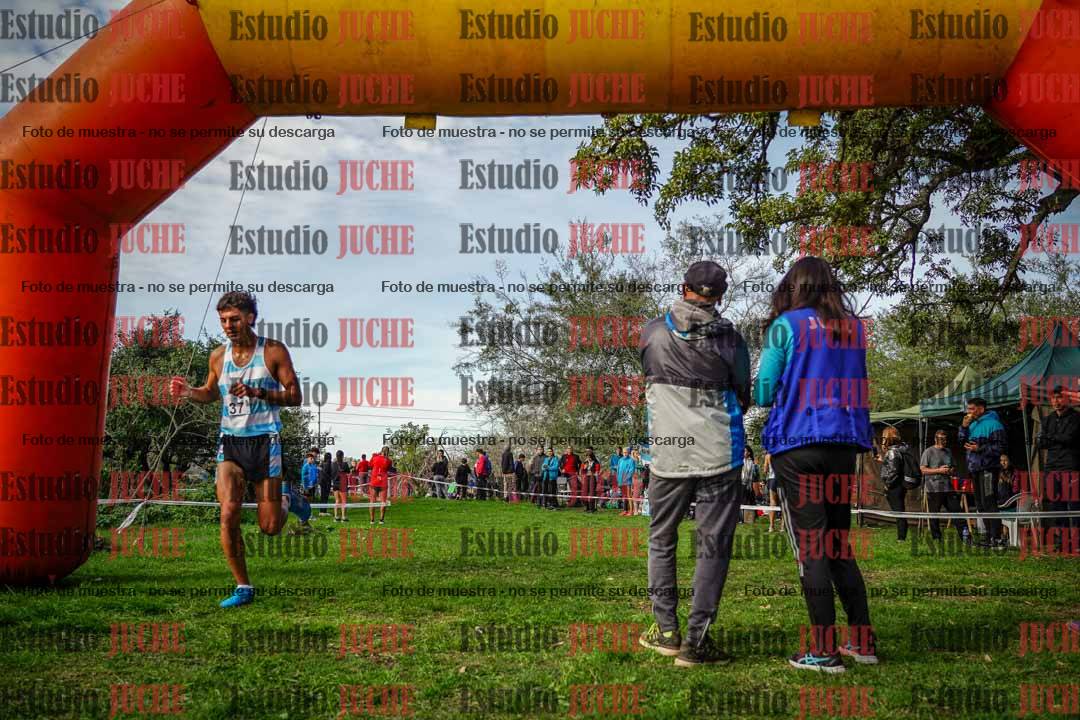 Fotos de la llegada del cross de 6000 m