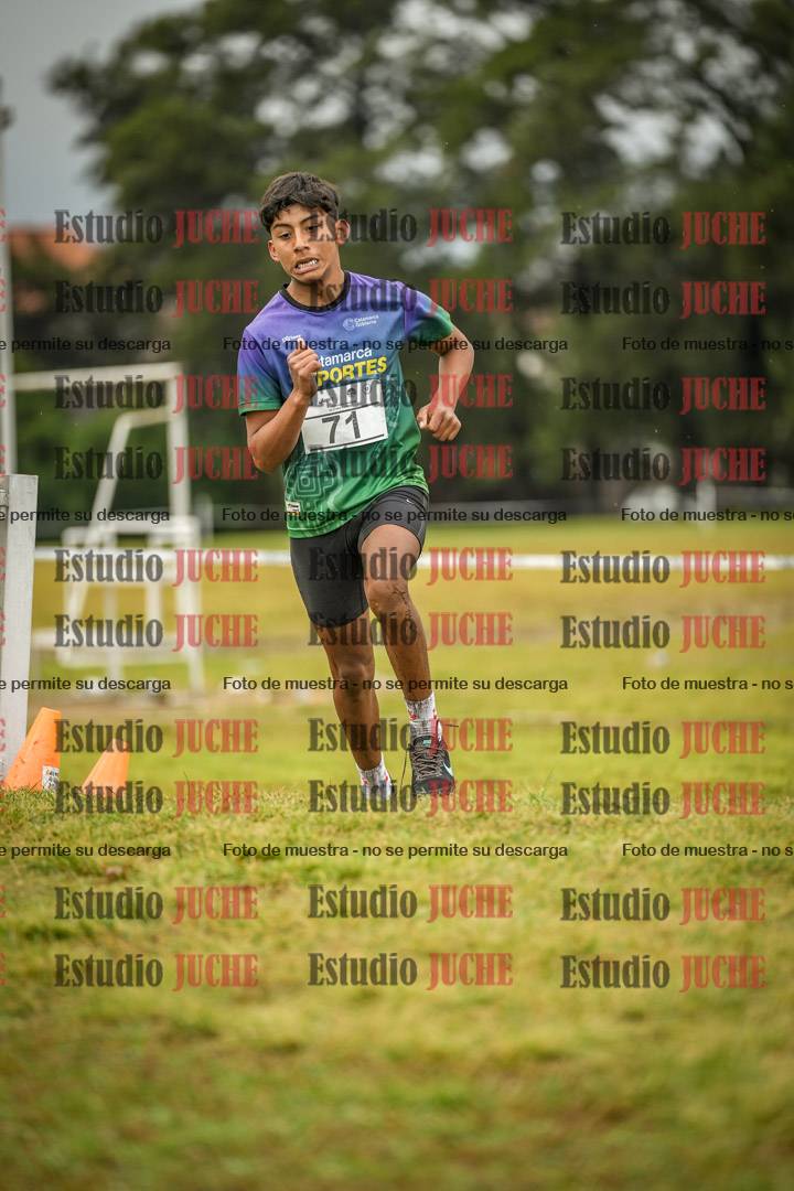 Fotos en el circuito