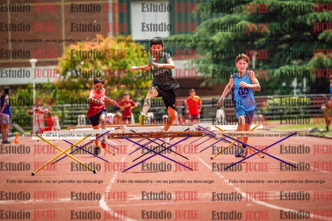 Fotos de los 60 m con vallas de varones