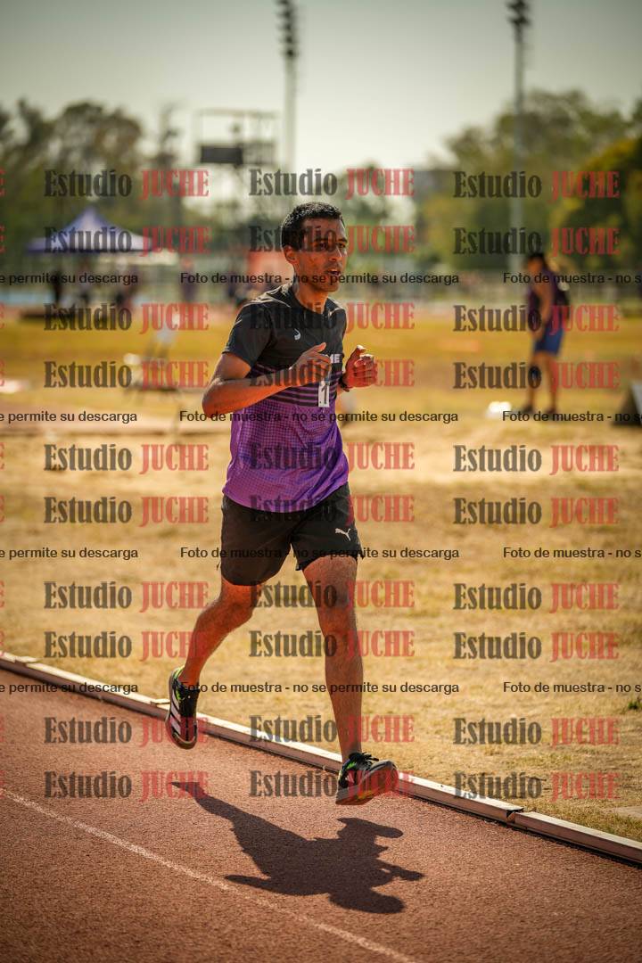 Fotos de los 3000 m llanos de varones