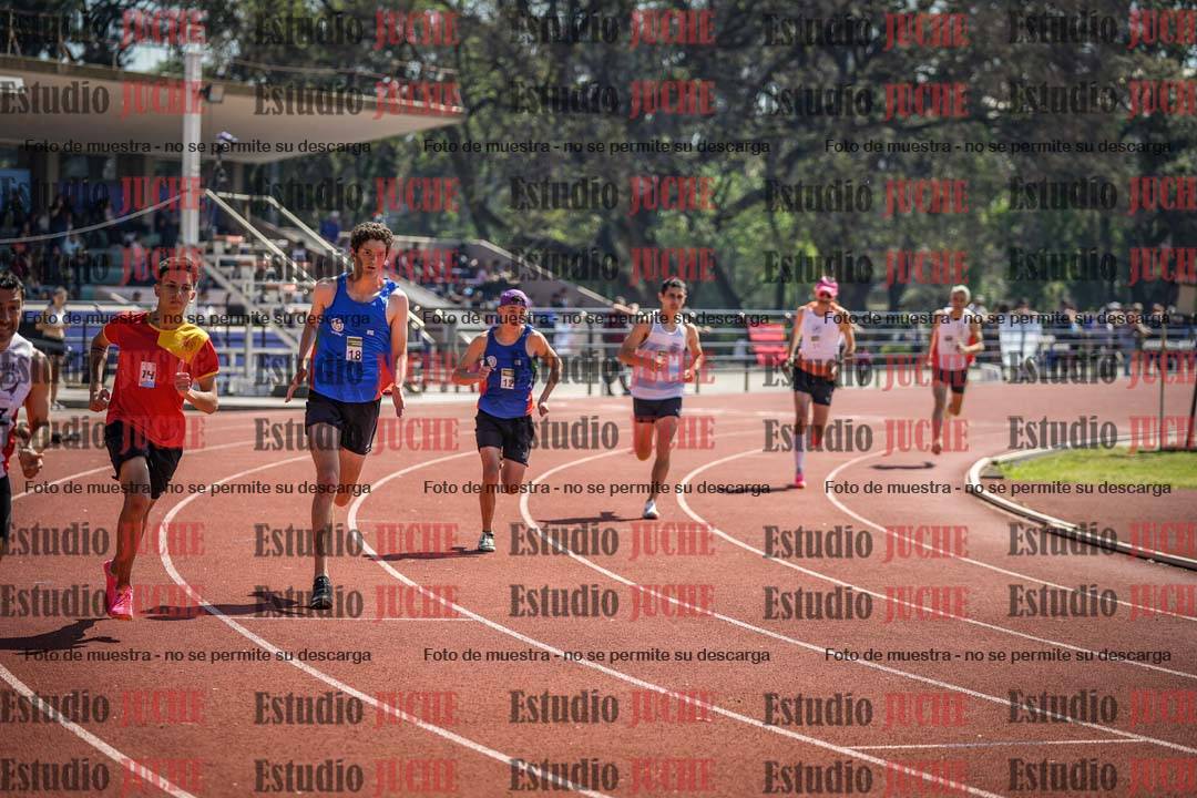 Fotos de los 800 m llanos de varones