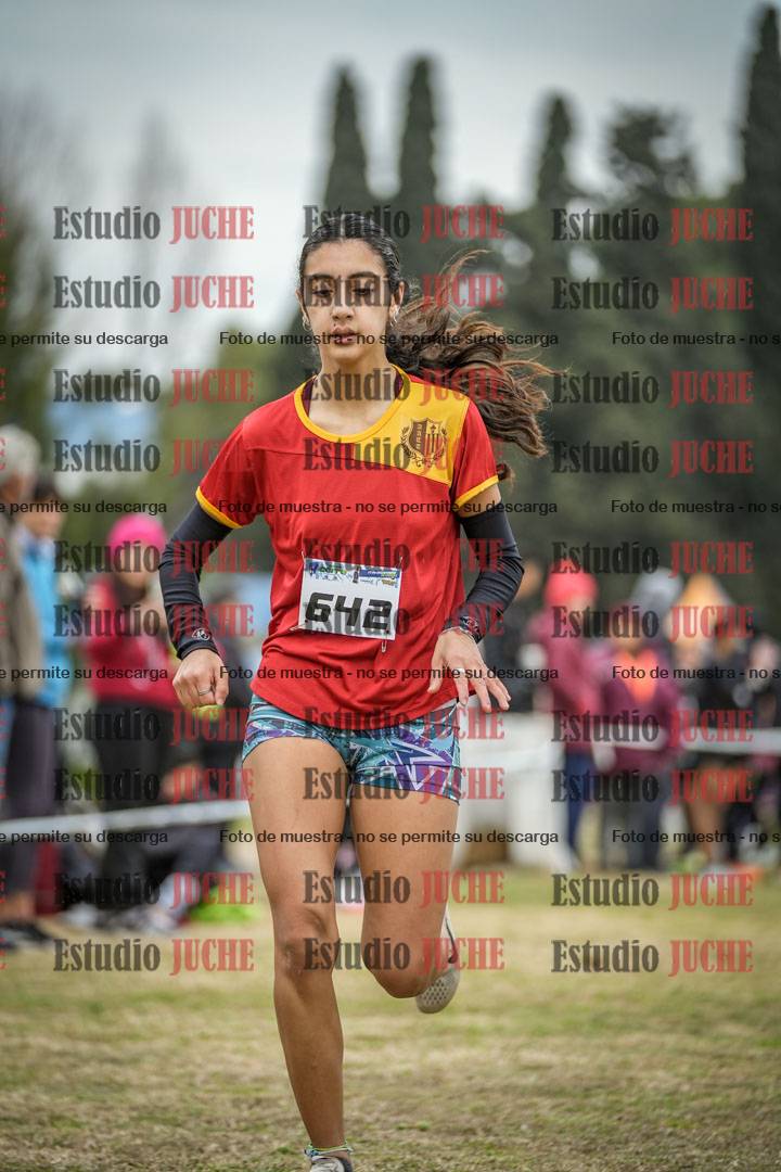 Fotos de la llegada
