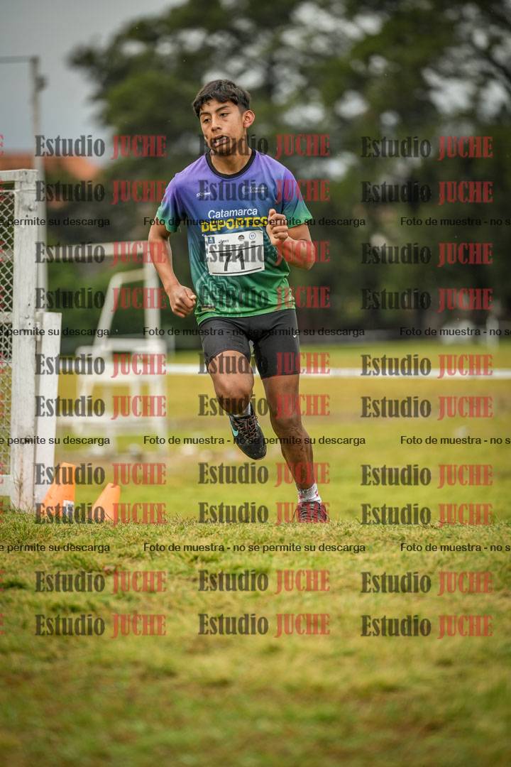 Fotos en el circuito