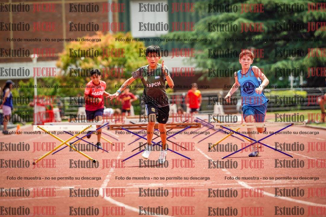 Fotos de los 60 m con vallas de varones