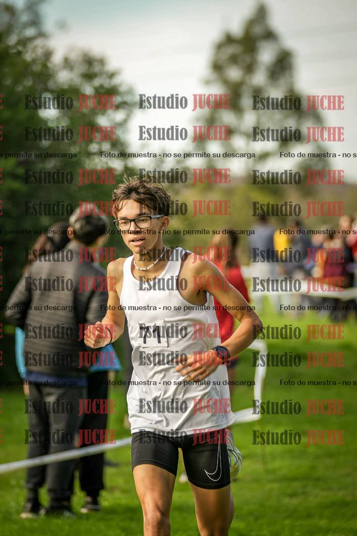 Fotos de la llegada del cross de 6000 m