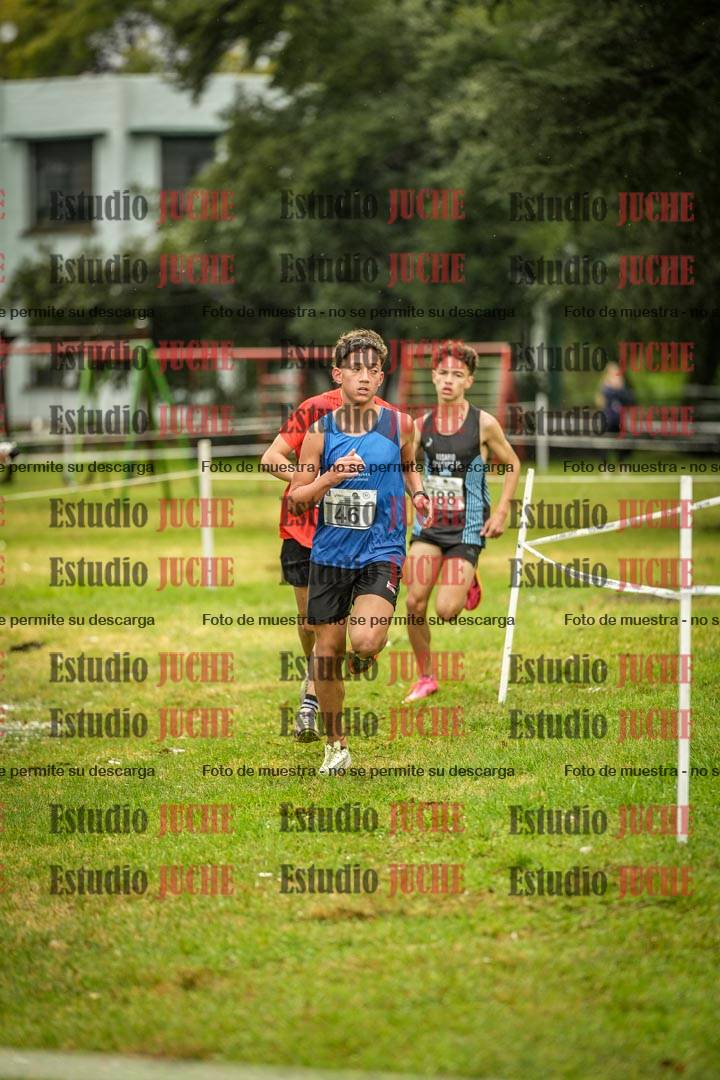 Fotos en el circuito