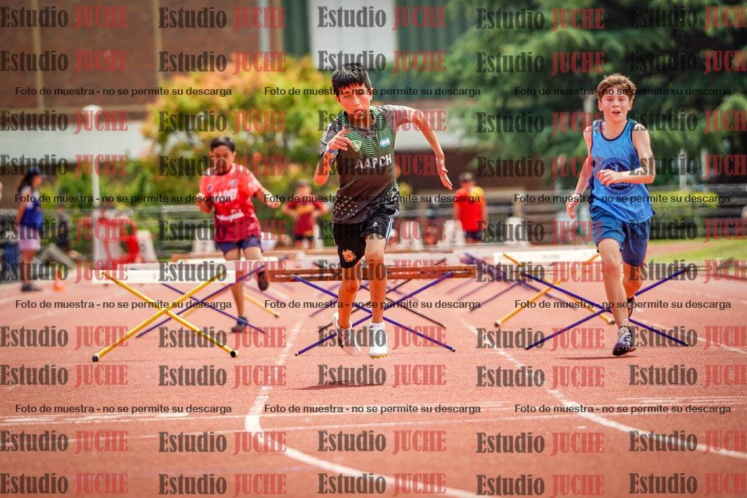 Fotos de los 60 m con vallas de varones