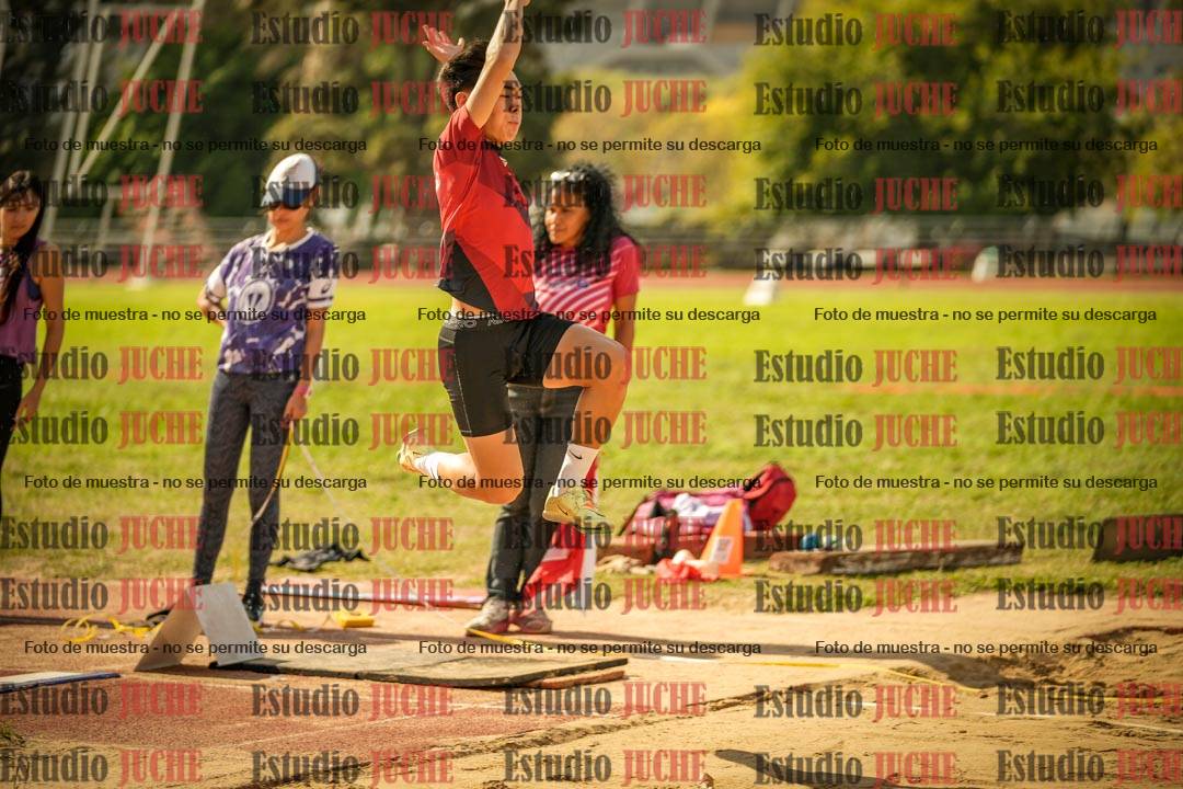 Fotos del salto en largo de varones