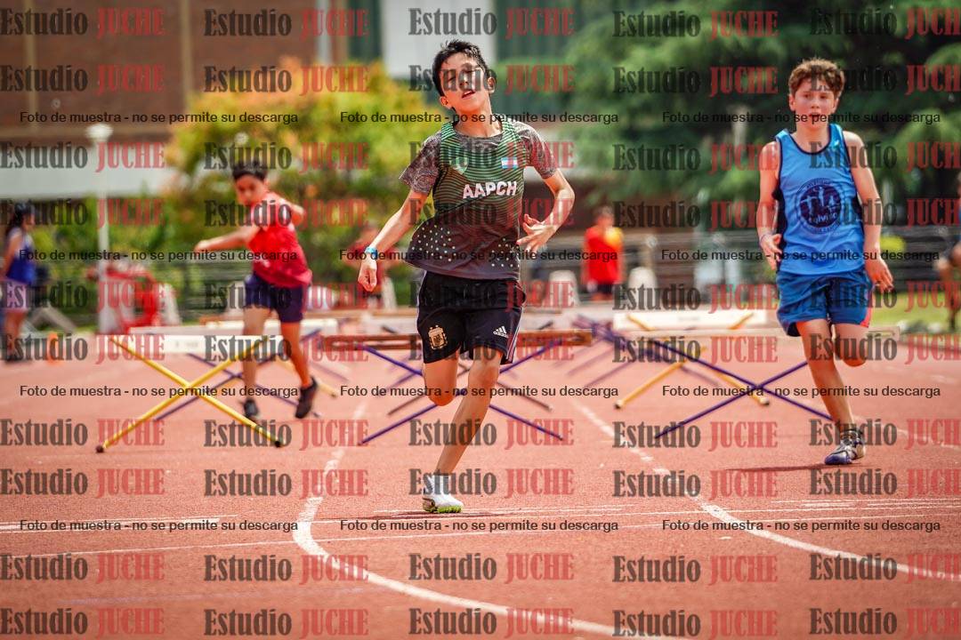 Fotos de los 60 m con vallas de varones