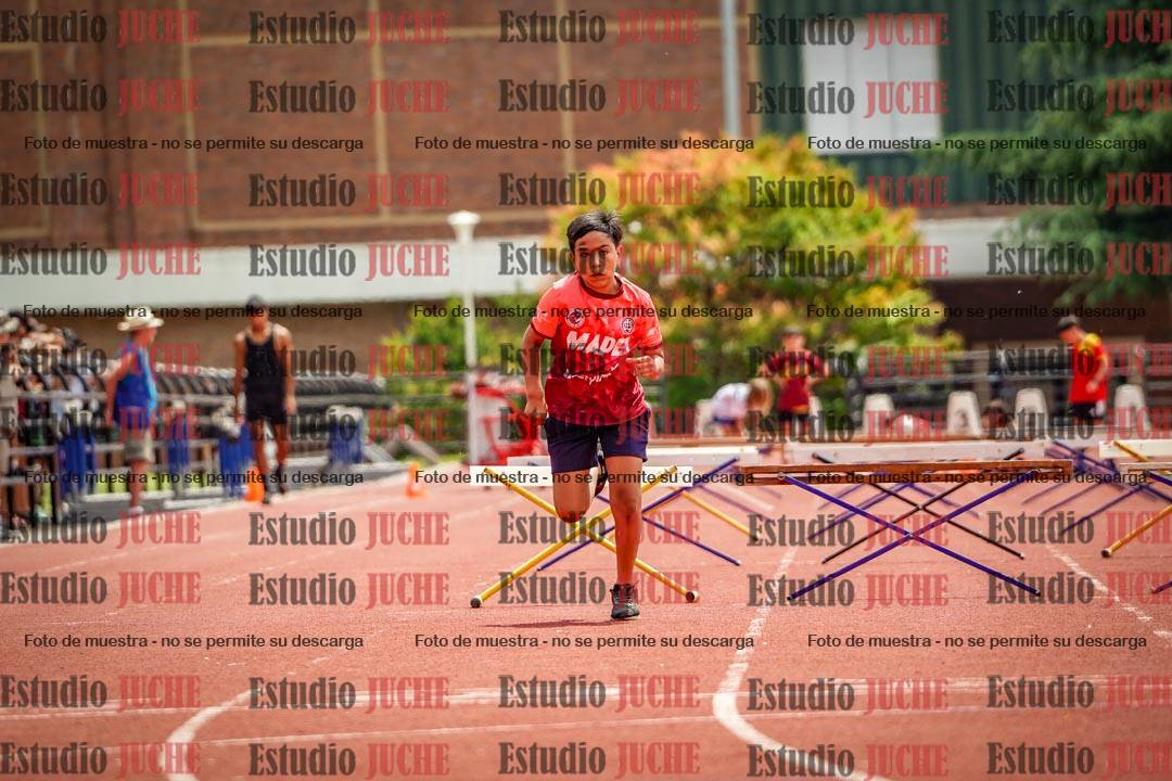 Fotos de los 60 m con vallas de varones