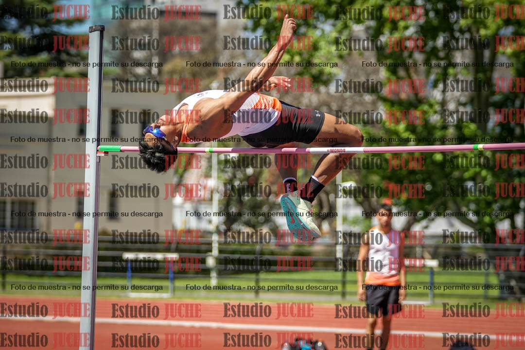 Fotos del salto en alto de varones