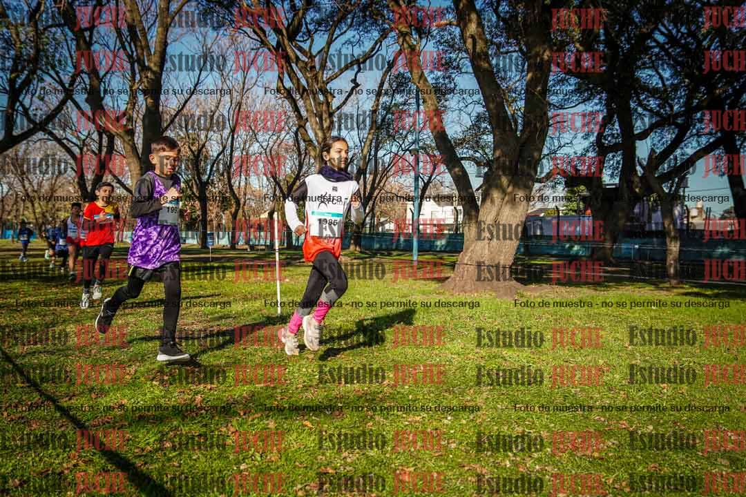 Fotos en el circuito