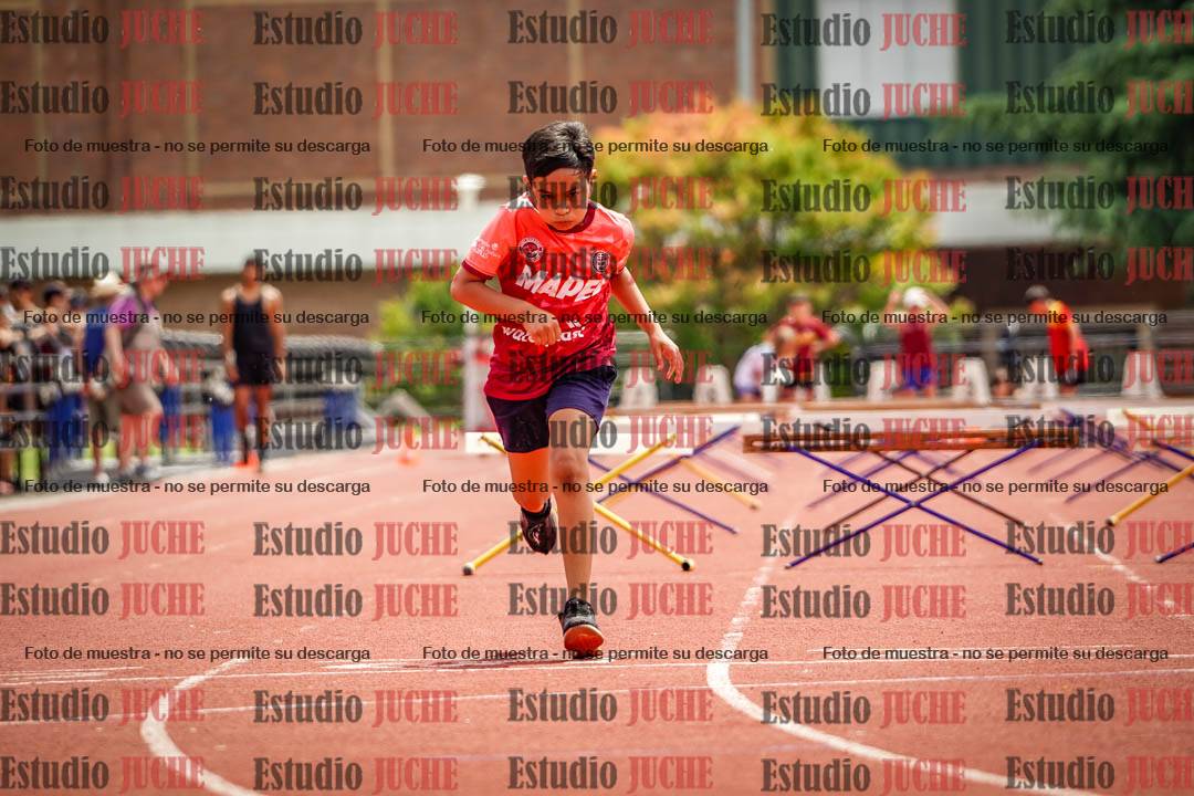 Fotos de los 60 m con vallas de varones