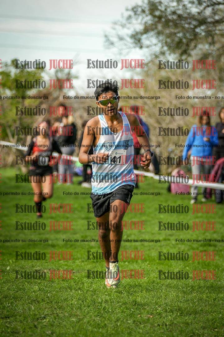 Fotos de la llegada del cross de 6000 m