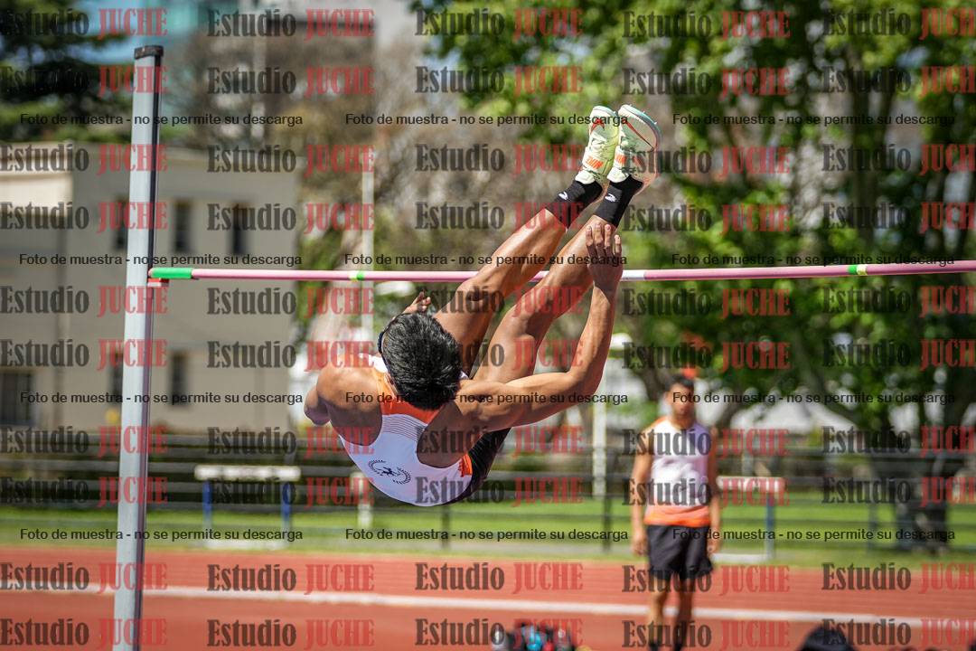 Fotos del salto en alto de varones
